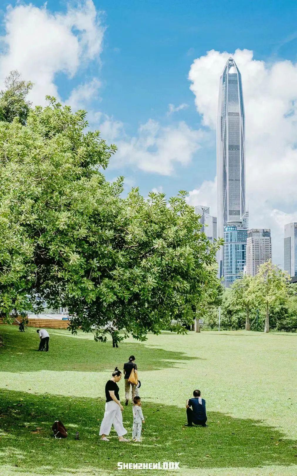 深圳香港一日游攻略带小孩老人,香港来深圳旅游攻略