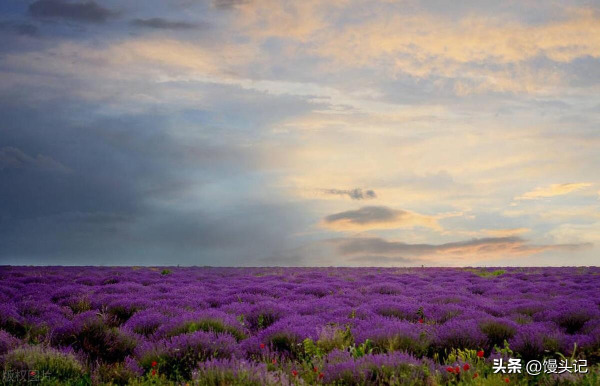 摩尔多瓦值得去旅游吗,摩尔多瓦有哪些旅游景点