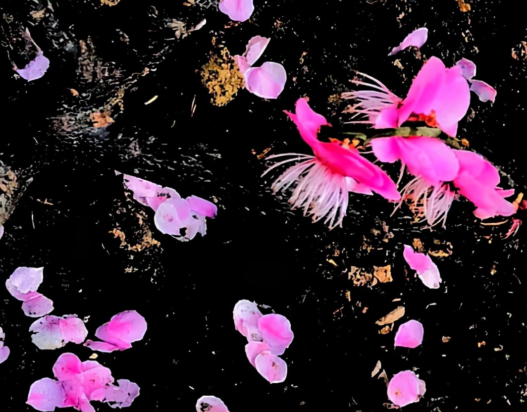 蓝天孤鹤：近作选辑