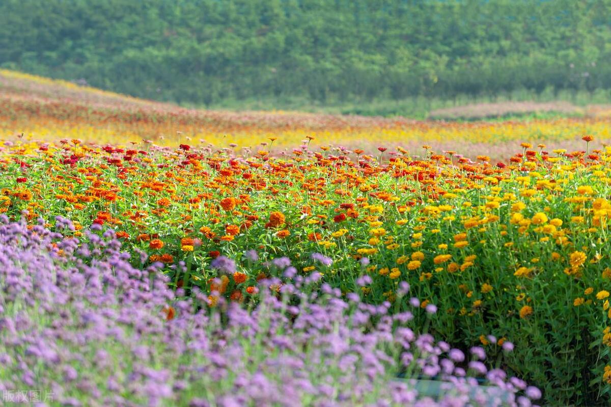 一个人远见的三个表现,一个人最大的远见是做好这三件事