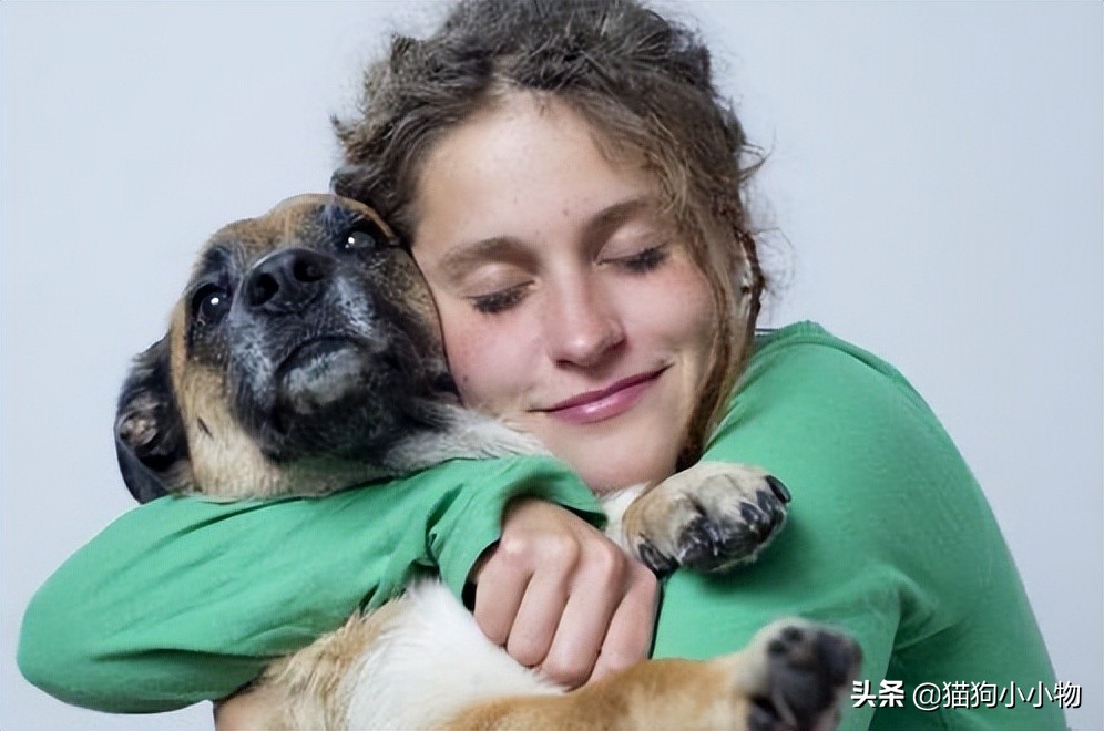 宝宝养狗狗的好处和坏处,养狗的好处和坏处有哪些呢