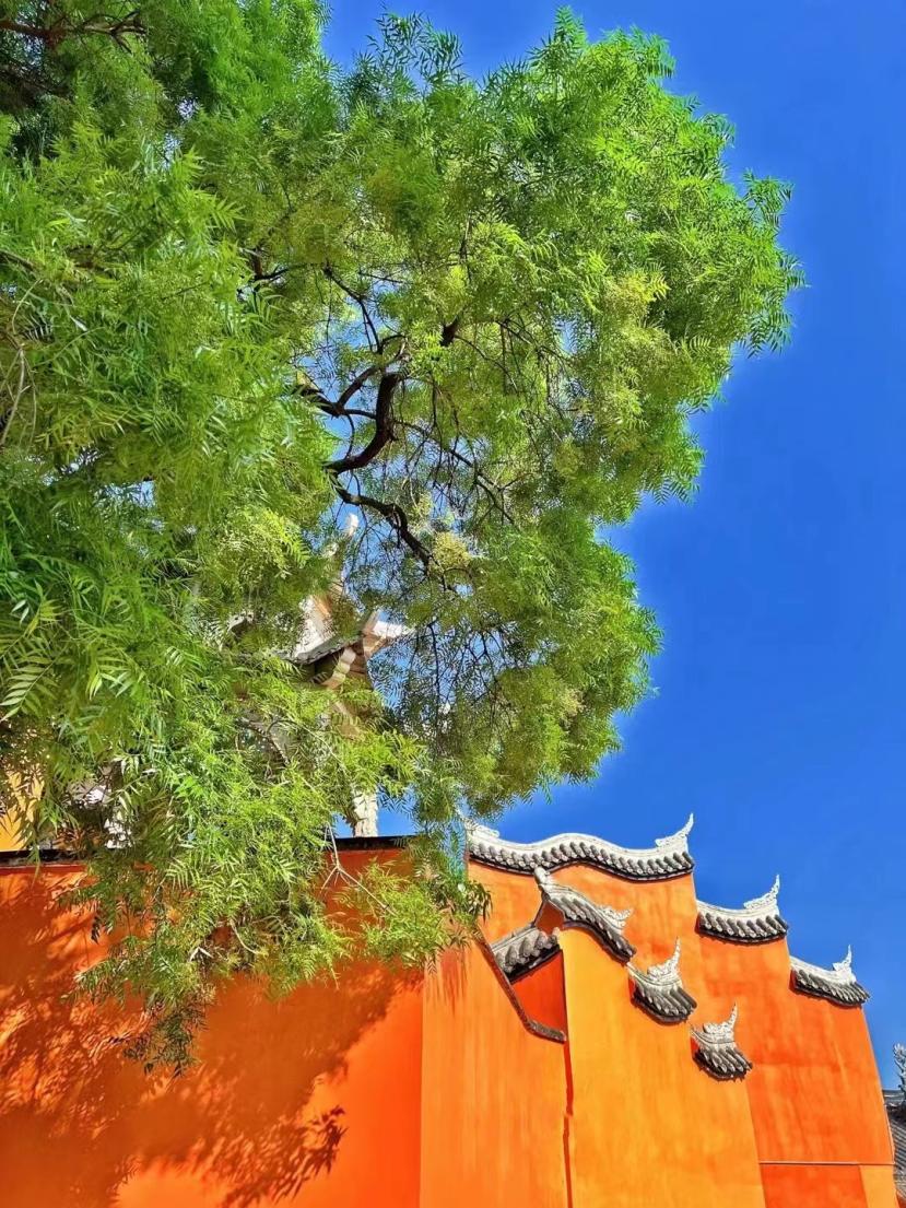 西昌住宿旅游攻略,过年去西昌旅游攻略住宿