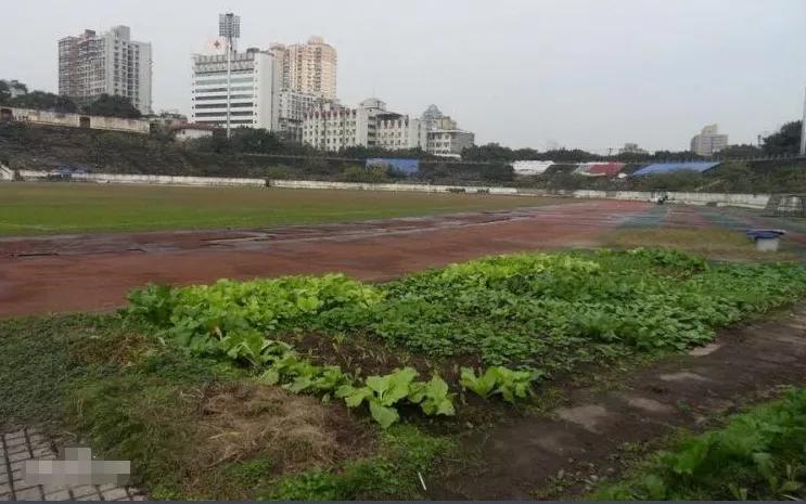 重庆渝中区最新拆迁赔付标准,2021渝中区房屋拆迁赔偿标准