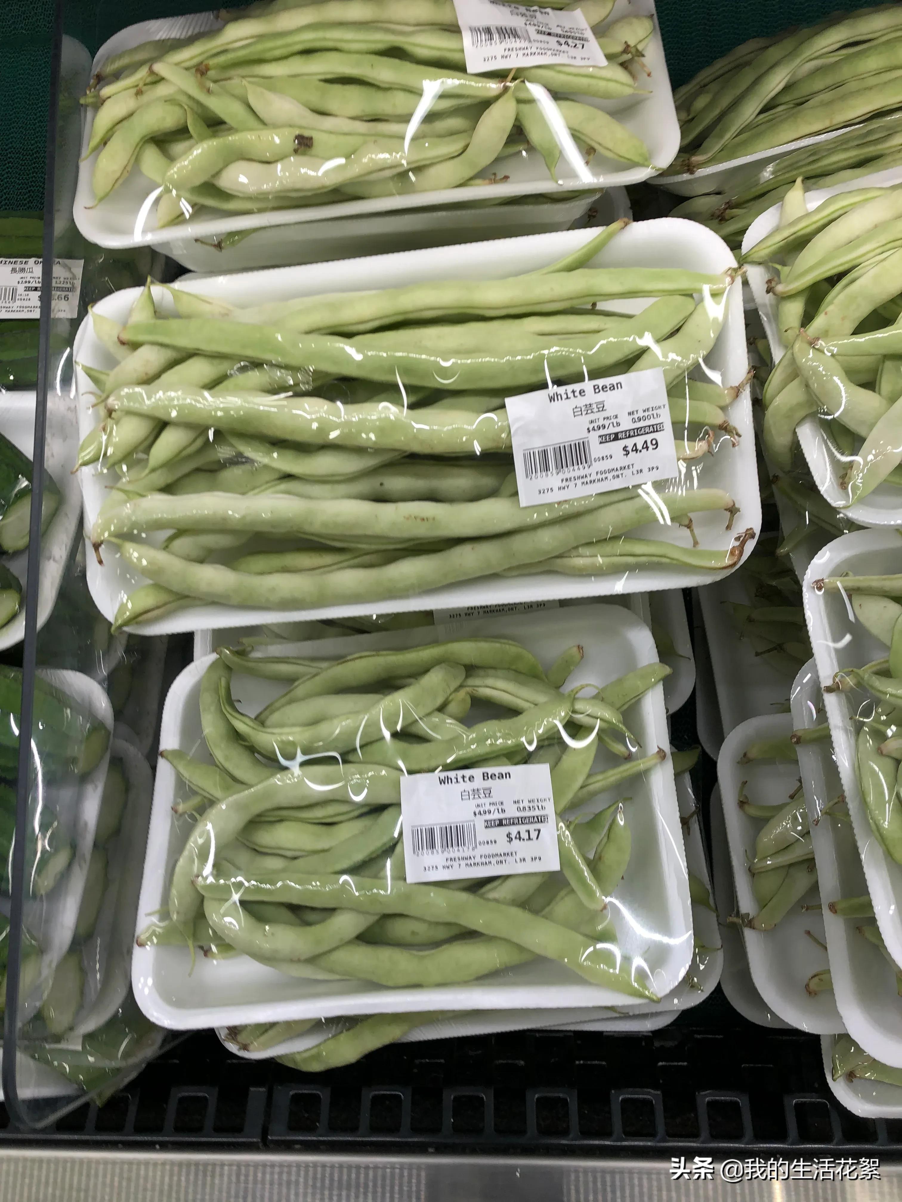 加拿大安大略省的物价,加拿大多伦多生活费多少钱