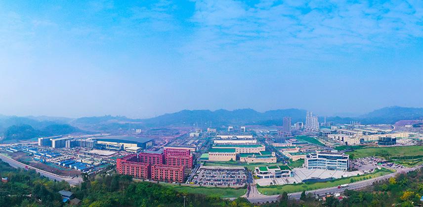 通威集团国外发展情况介绍,通威发展历程