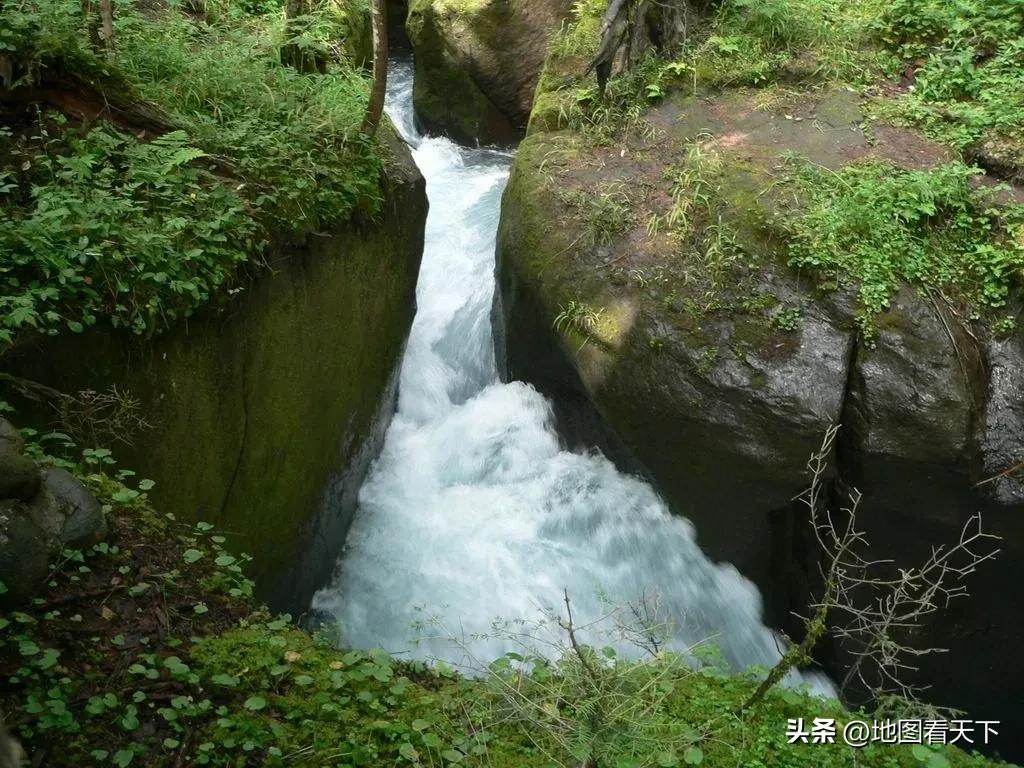 走进长白山原始森林,长白山森林基地