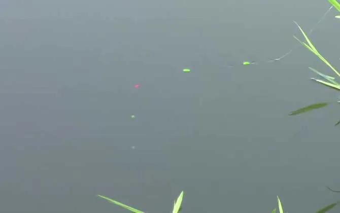 老鼠尾七星漂钓鱼视频,七星漂钓鱼的正确方法是什么