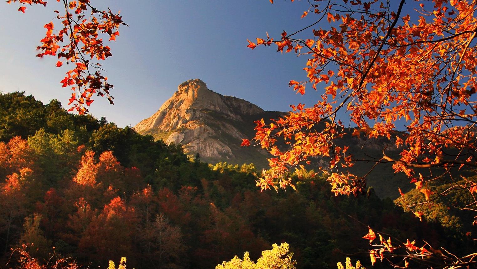 广东韶关新丰县未来发展,韶关新丰有啥发展