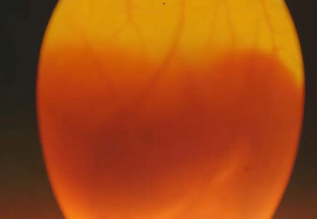 初来乍到请多安慰,初来乍到请多关照音频