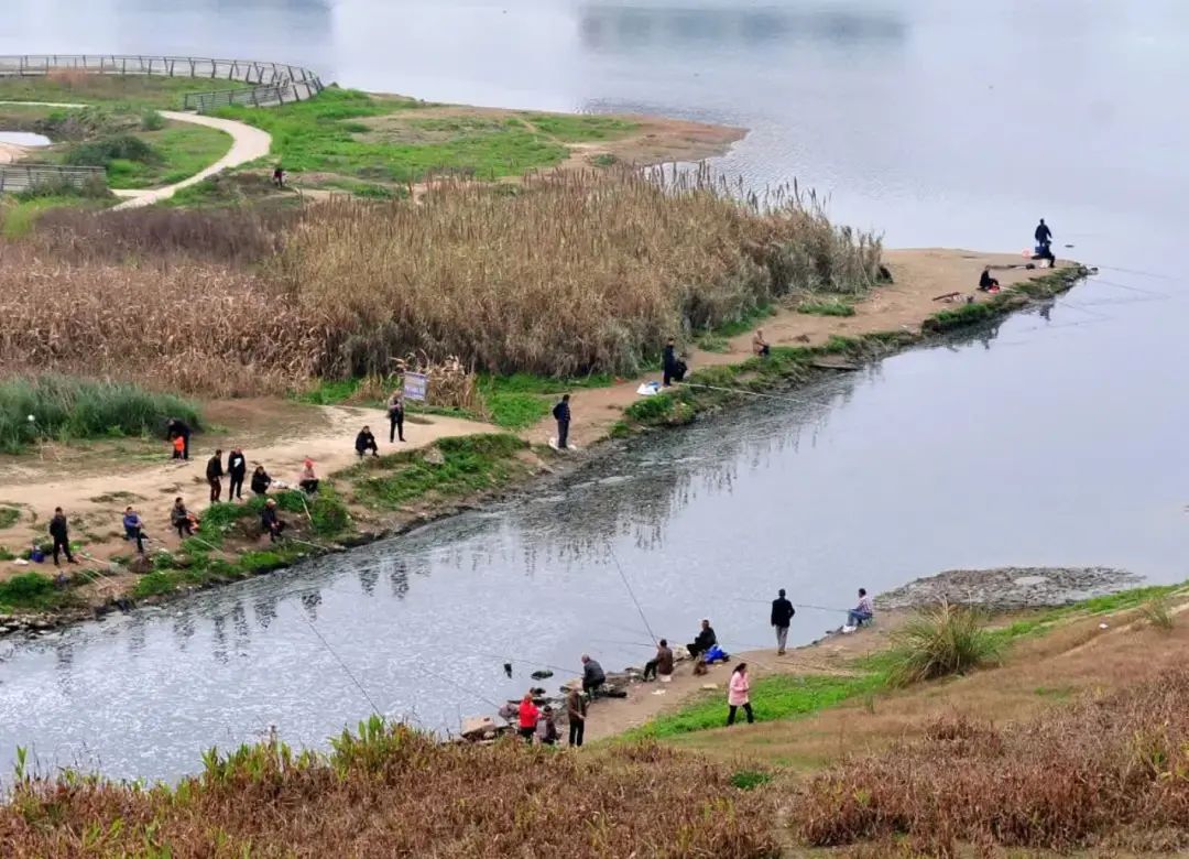 南充垂钓罚款,南充禁渔期关于钓鱼的规定