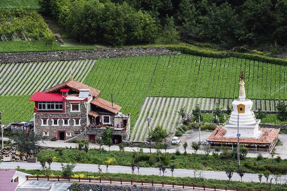 西部大草原旅游攻略,四川红原大草原自驾旅游攻略