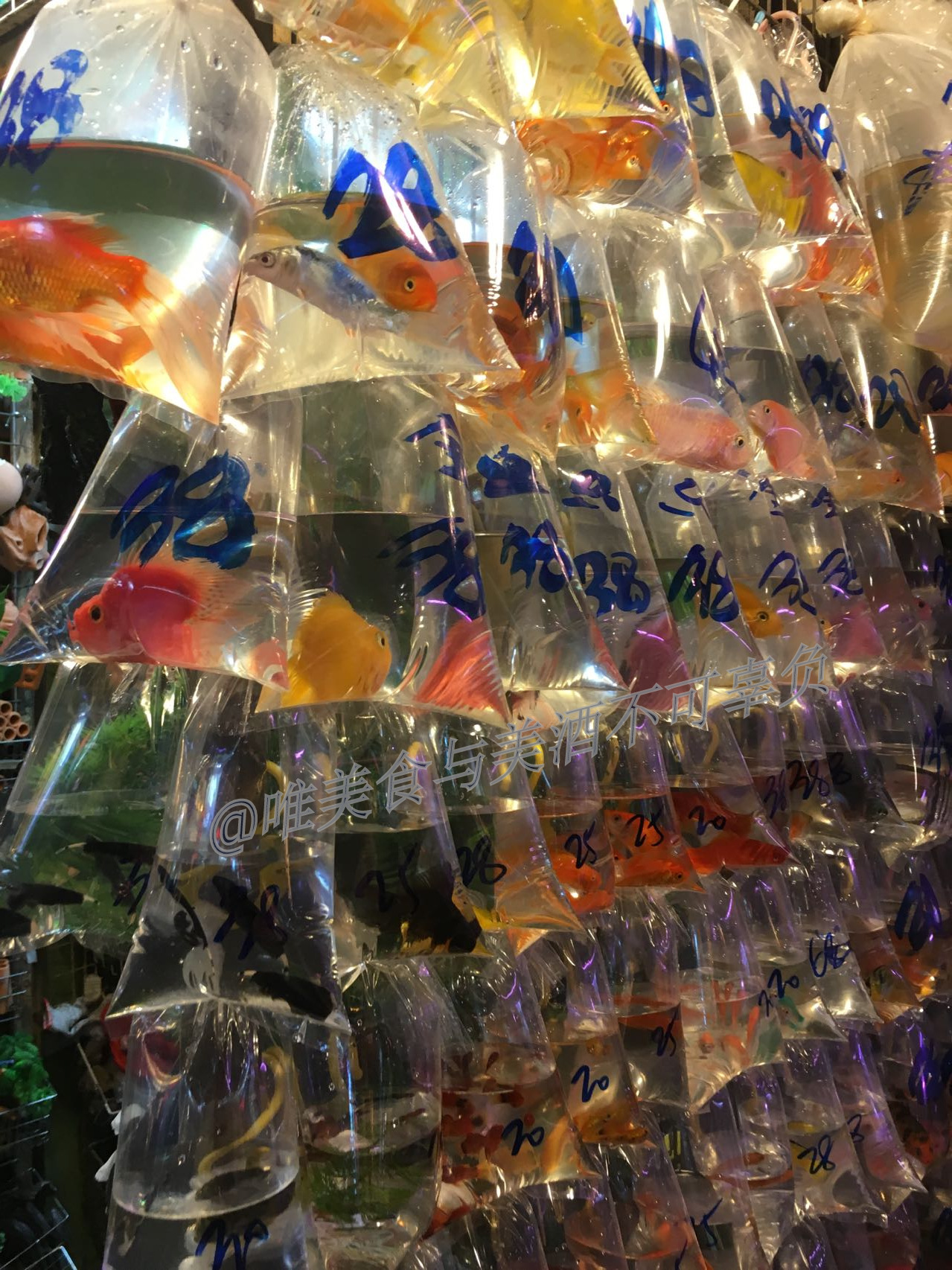 逛香港街市，买蔬菜生鲜，还有美味烧腊、蚝豉干贝，以及人间烟火