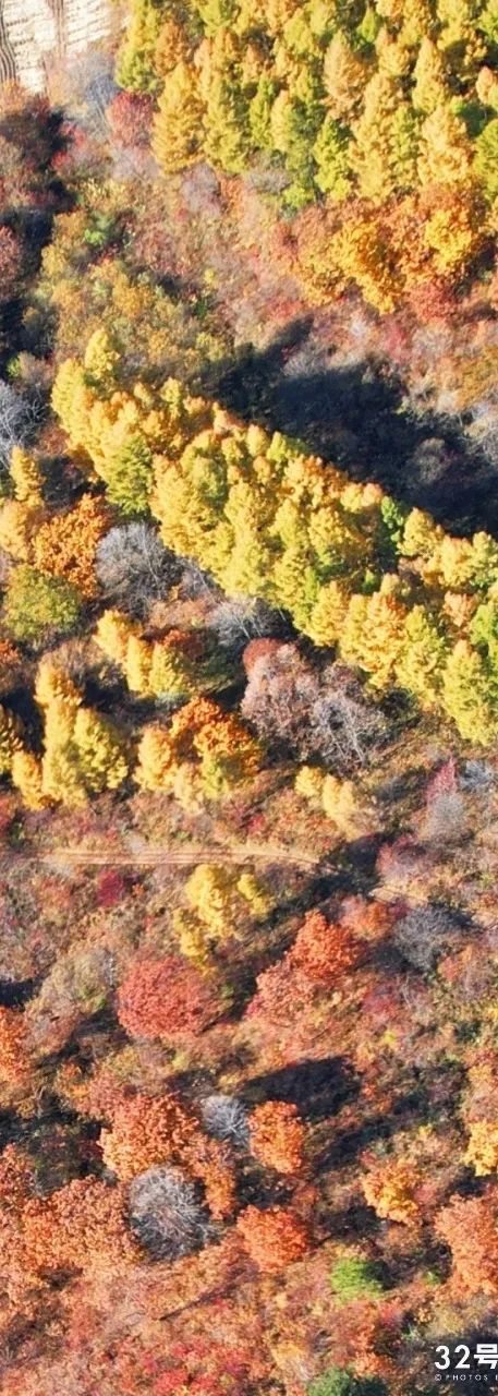 长白山的秋季,长白山夏天和秋天的区别