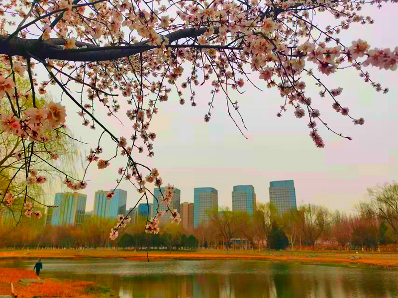 有地铁直达的公园,地铁可达的郊野公园