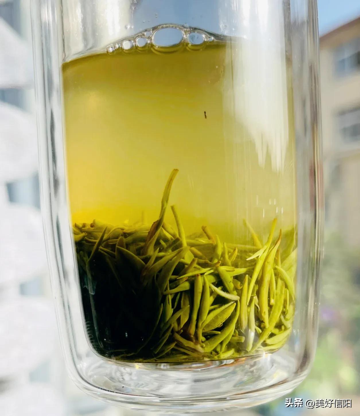 信阳毛尖哪里有卖 (信阳人买毛尖)