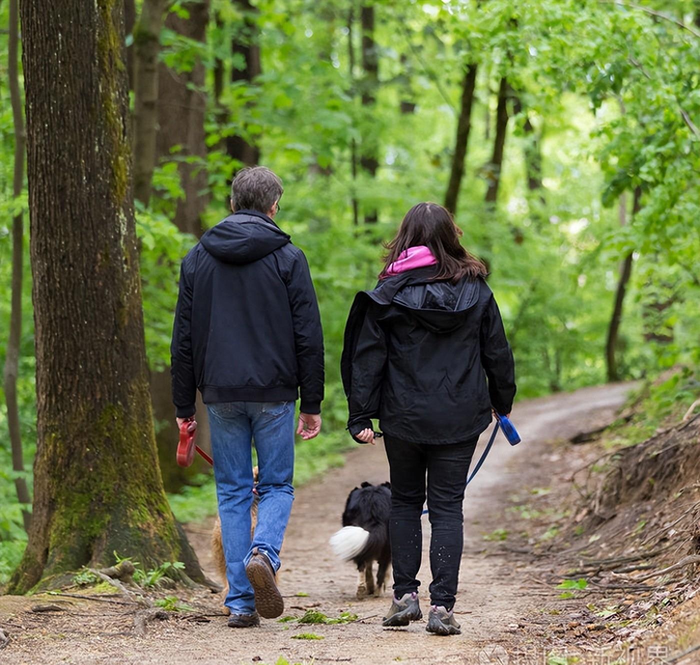 男子强奸养狗的女主人致其怀孕后，获刑六年！