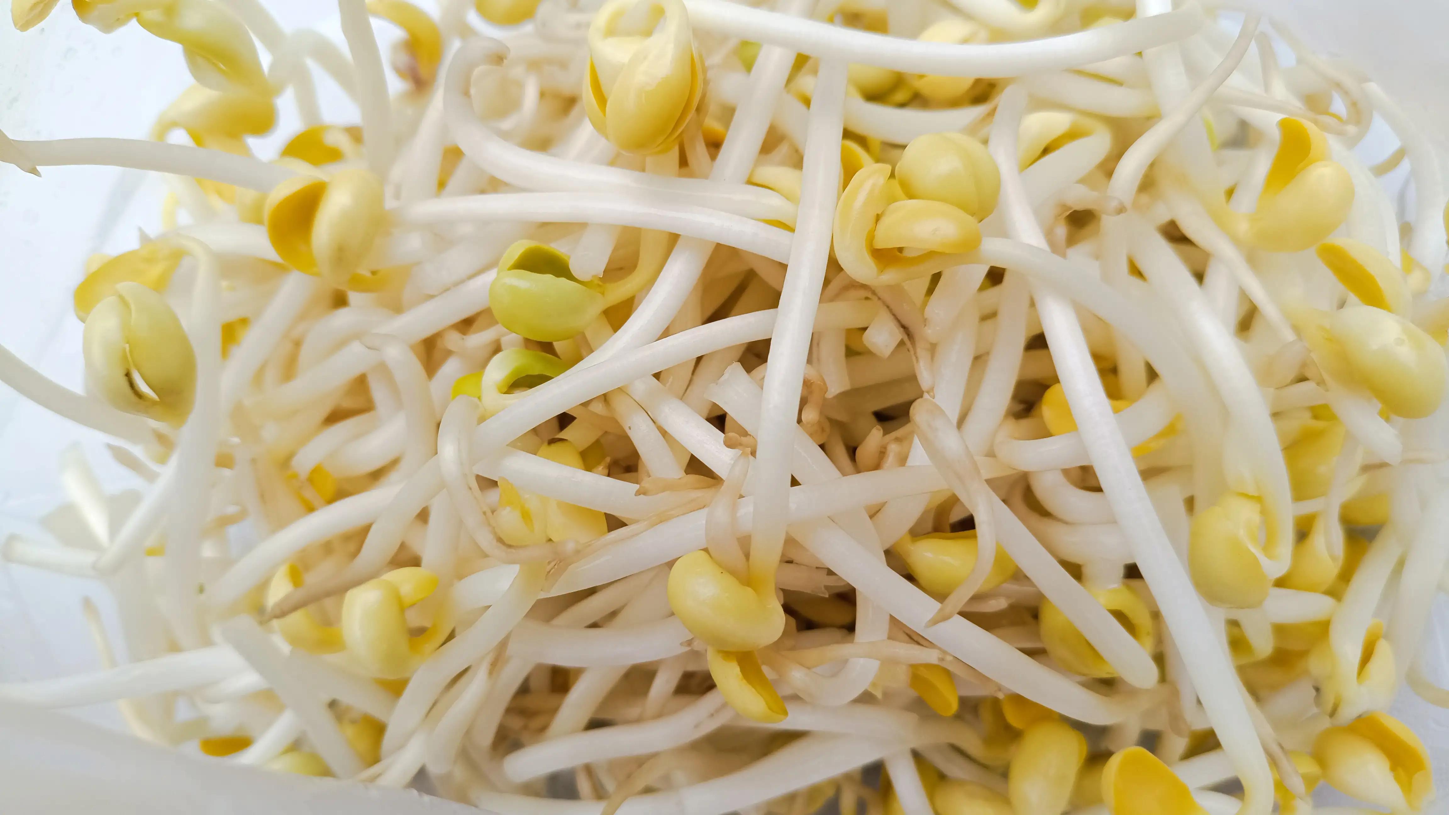 干蒸面条的做法家庭版,蒸面条视频家庭版