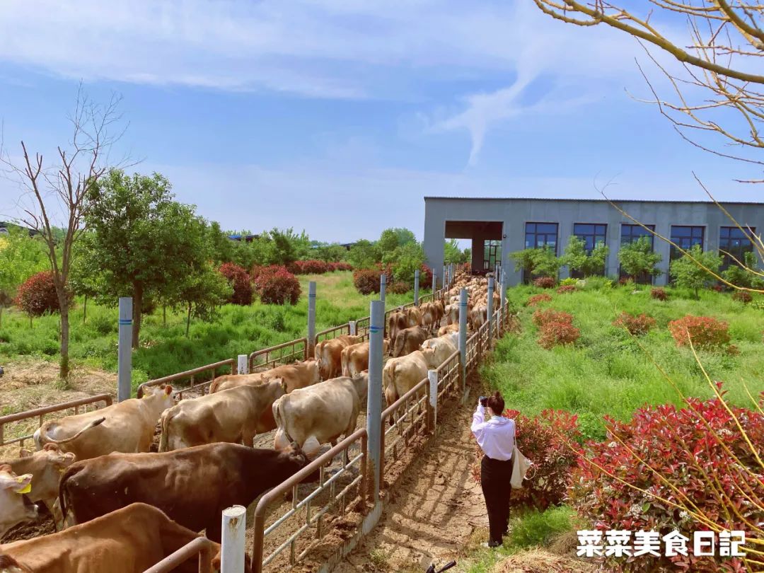 春天每个孩子都该补钙吗,春天补钙最好时机