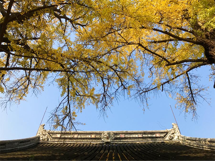 苏州游玩必去免费景点推荐,苏州免费游玩的景点推荐