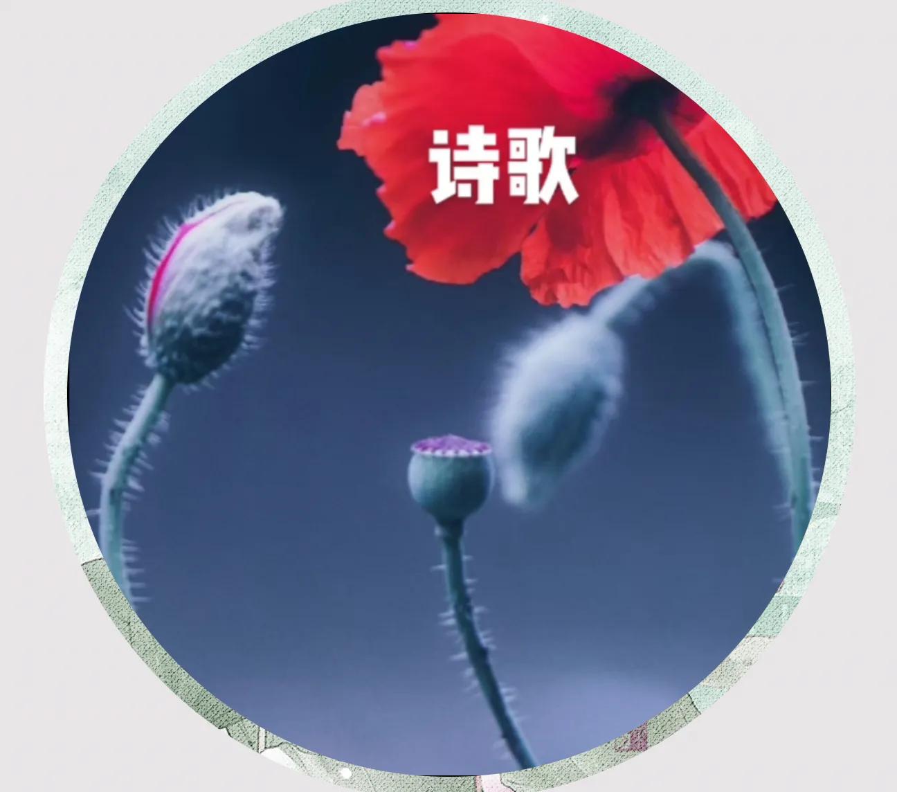 绿汀文学社,2021年绿汀文学社第5期