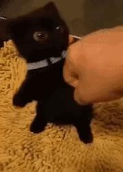 娶护士老婆后的真实感受,护士妻子大结局