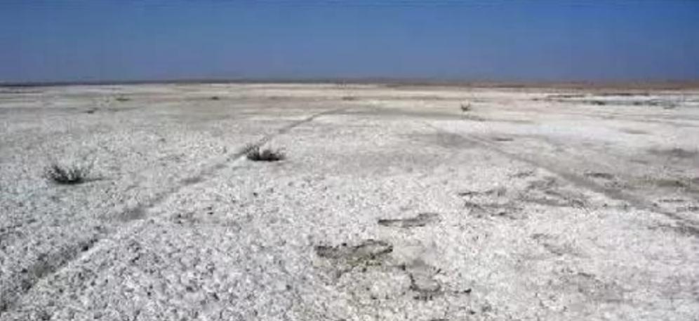 李诞吐槽娱乐圈夸人虚伪,李诞说站着挣钱还是跪着挣钱