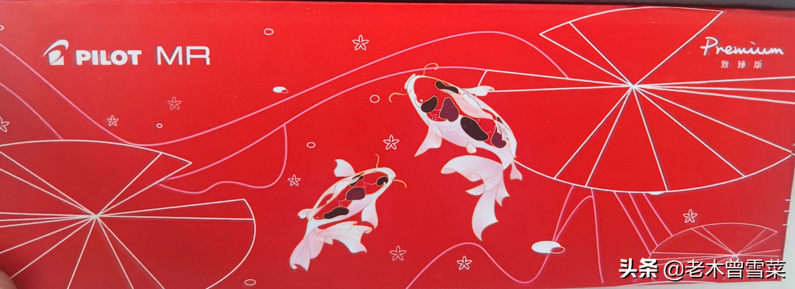 初学钢笔入门基础教程,钢笔字零基础入门用什么钢笔