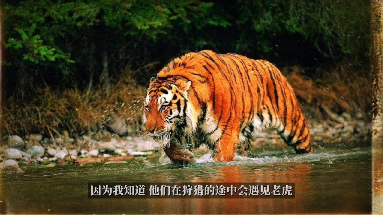 追妻虐心虐到哭的小说短篇推荐,追妻火葬场破镜不重圆完结文