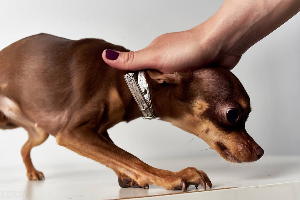 经济转型的深度解析,经济结构趋势和数字化转型
