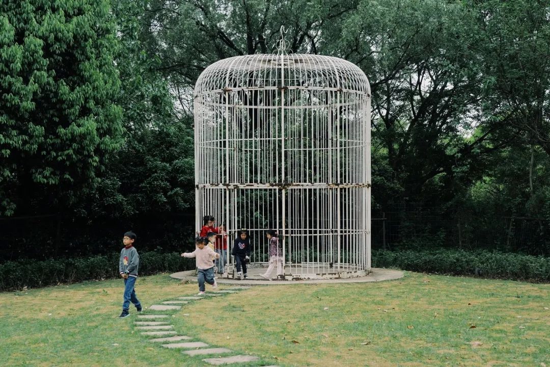 春天的潺潺溪水,春天的顶流