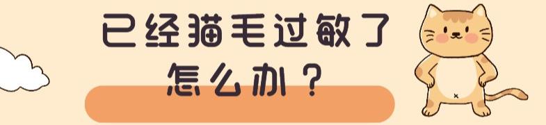 吸猫重度成瘾患者,吸猫肺痒咳嗽怎么回事