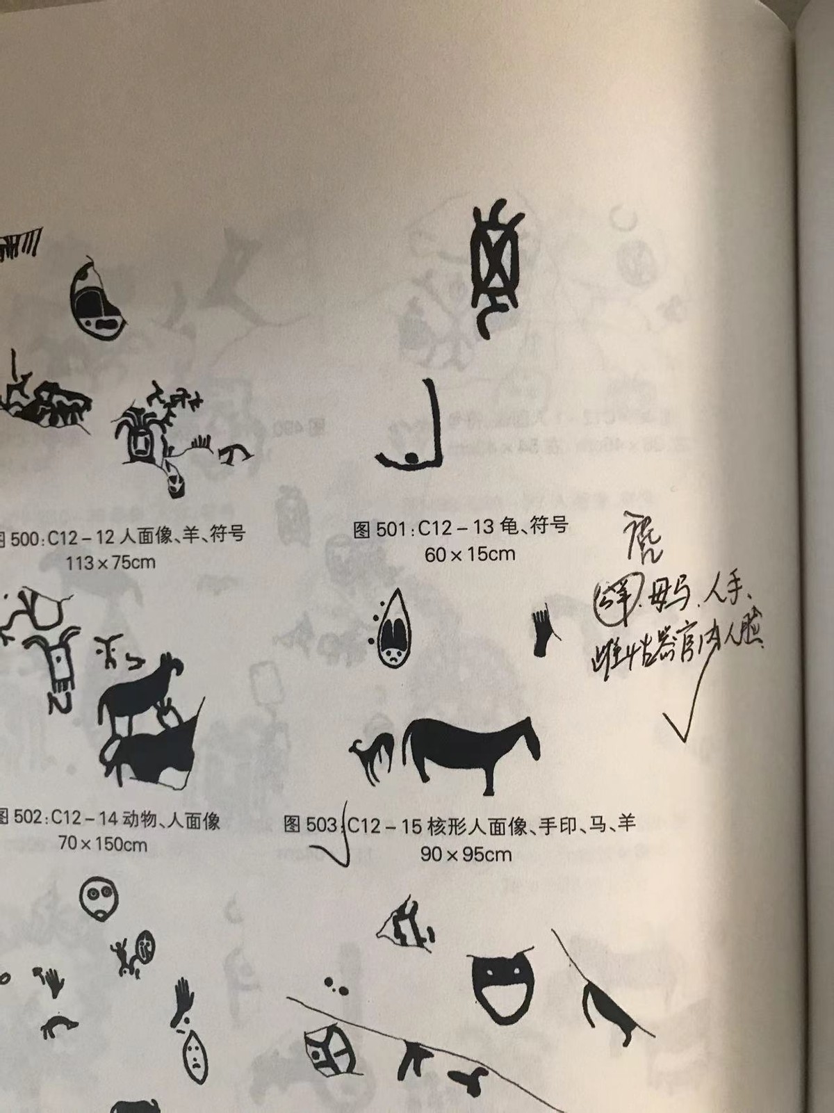 人类起源新说,人类起源新论完整版