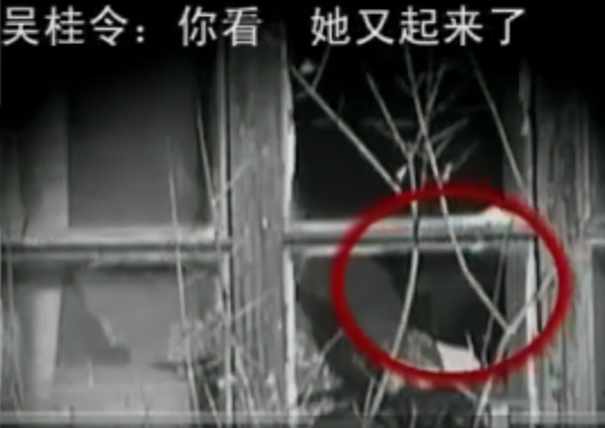 河北女孩瘫痪,河北女子瘫痪在床20年