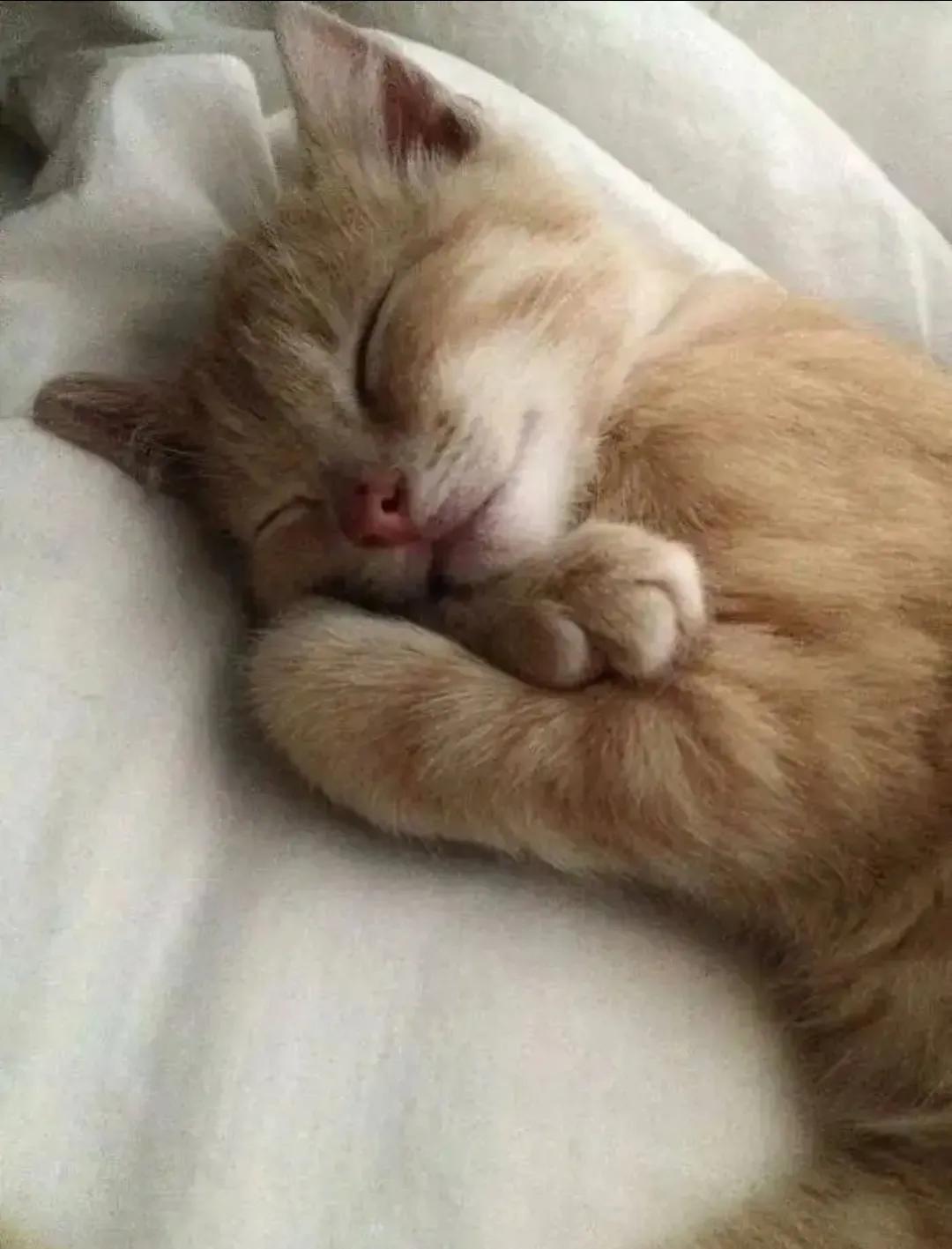 当时只道是寻常评论,当时只道是寻常