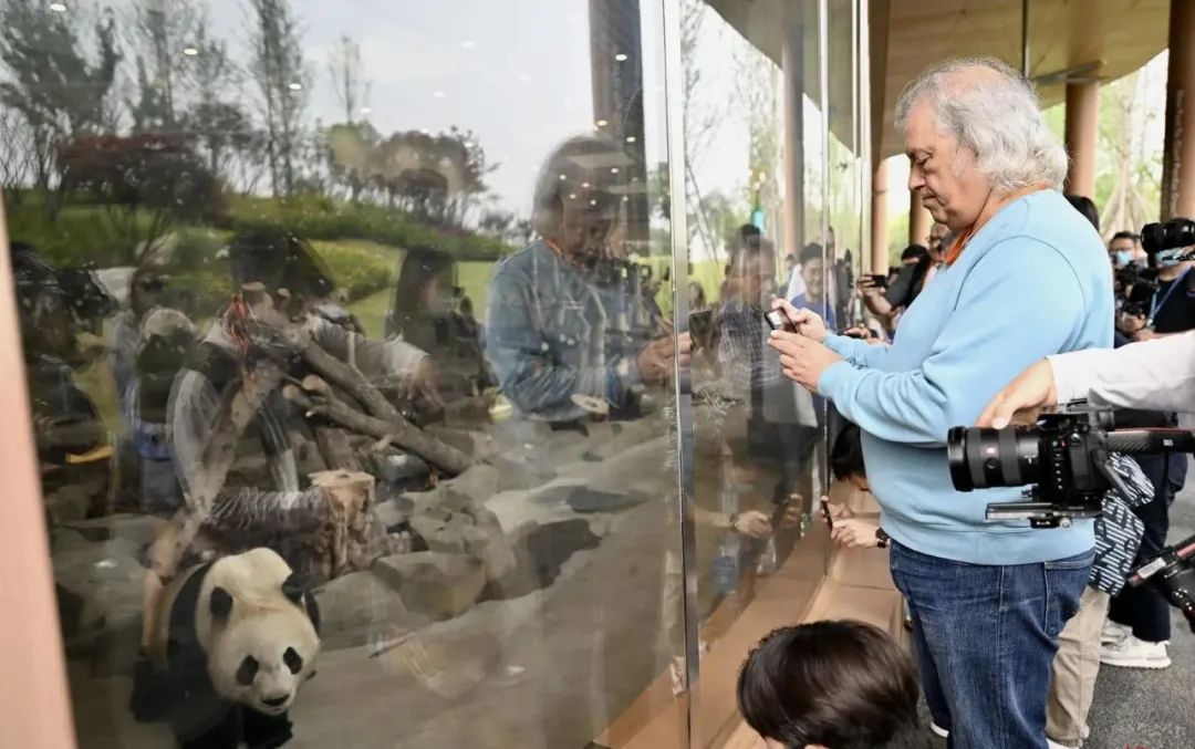 正式启动直播视频,世界媒体报道成都