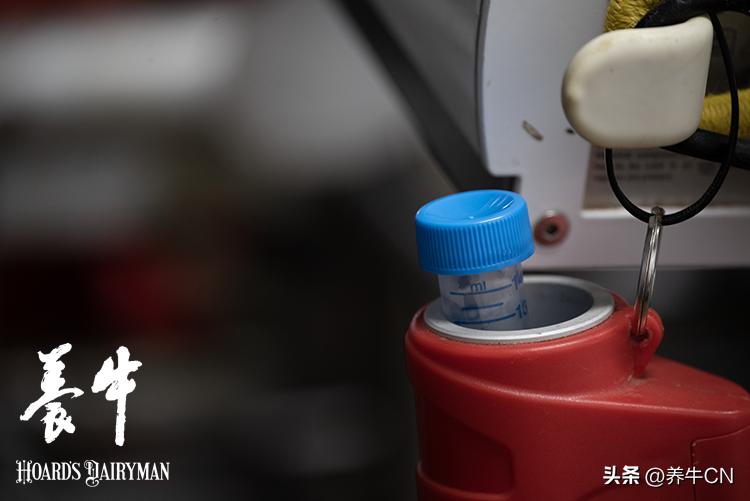 提高配种效率的关键措施