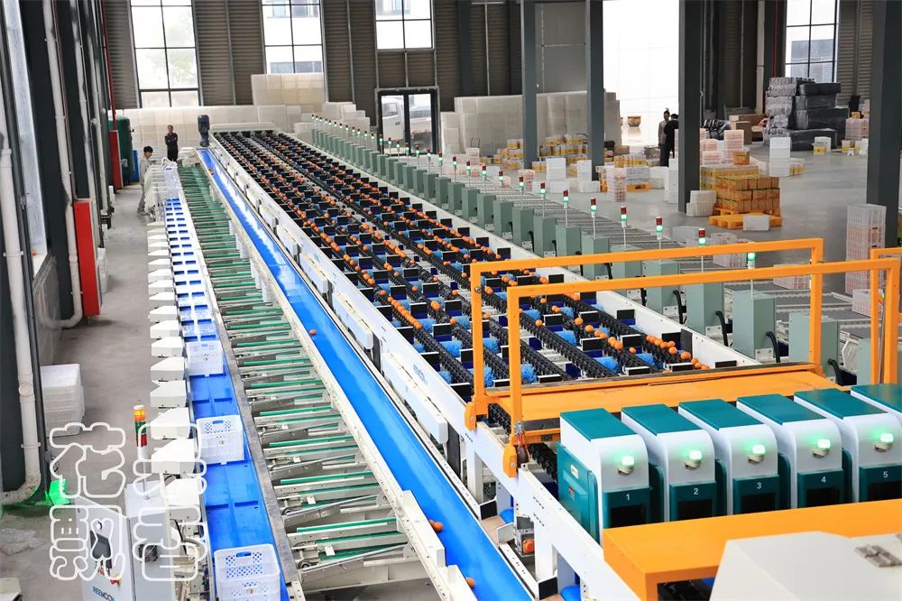 88元最便宜的东西是什么,88元应该买什么