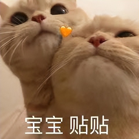 茶具里面茶垢的清洗小窍门保温杯,用什么能溶解茶具排水管里的茶垢