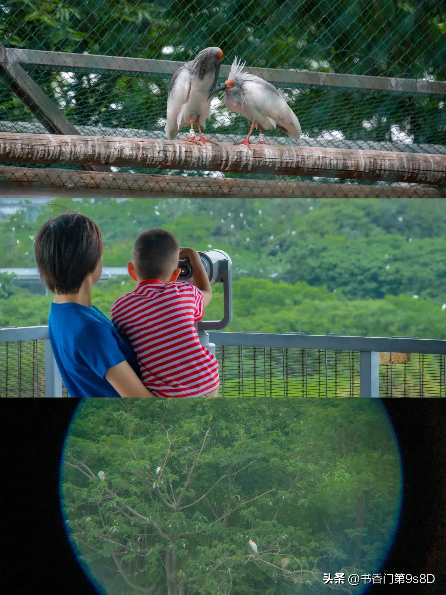 美丽的田野原唱,美丽的田野第32集