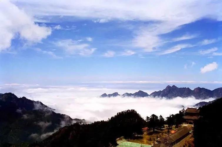 新一则寓言故事,寓言故事老虎百兽之王