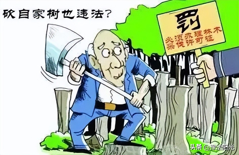 未办理林木采伐许可证砍自己家树,无采伐证就伐树出卖怎么处理