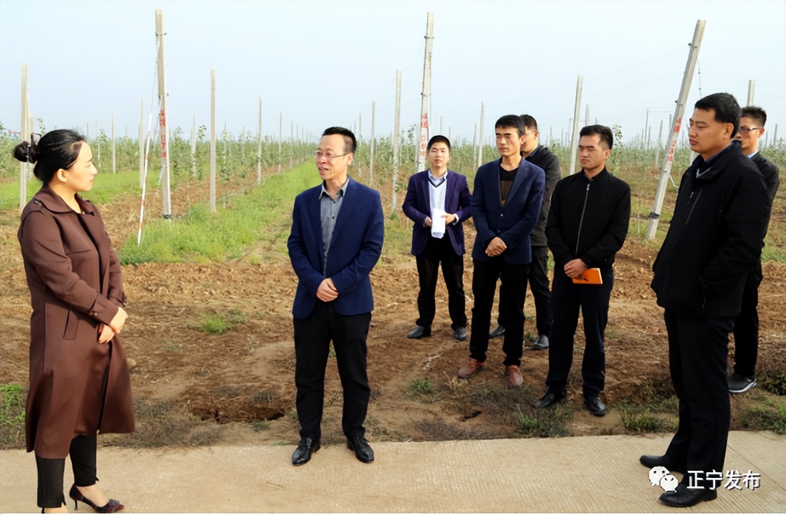 两型机关创建演讲稿,提升党办三服务