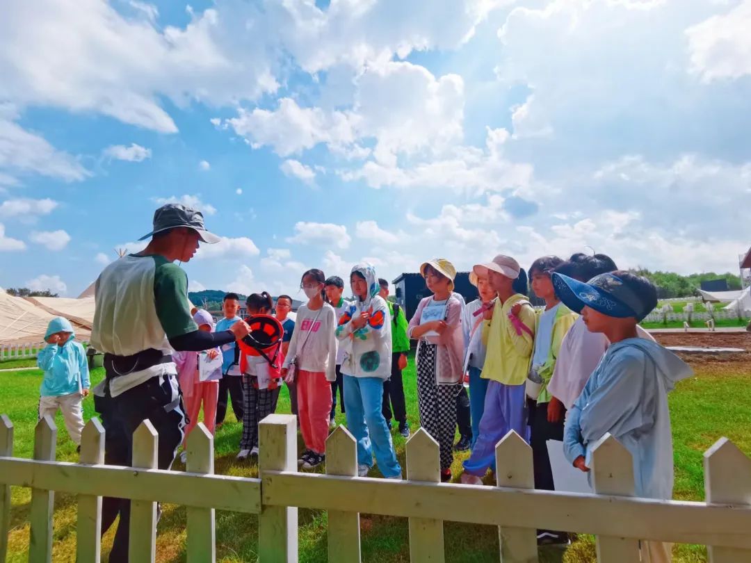 失控玩家2完整版,失控玩家游戏攻略