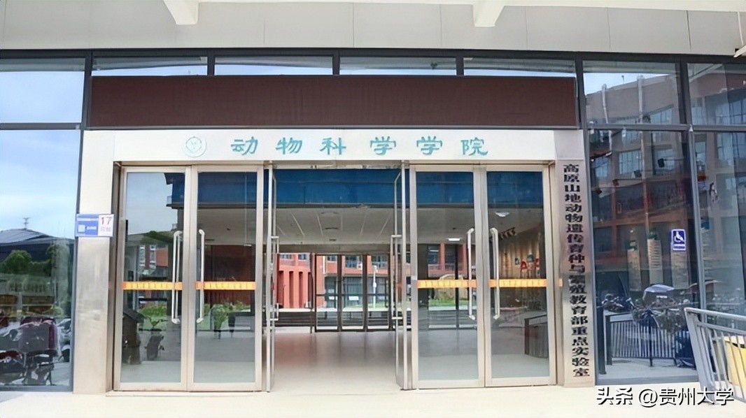 贵大这个学院,学生们的升学故事真精彩!