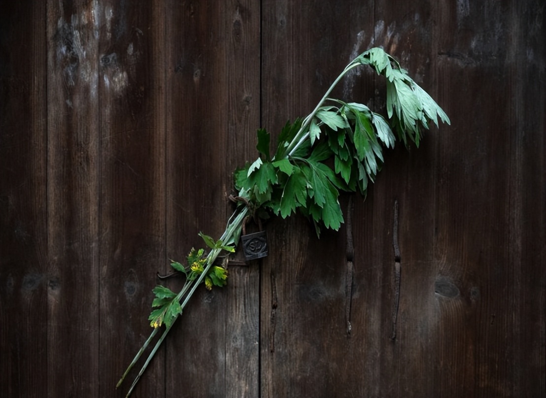 端午节挂艾草挂好了能换地方吗,端午哪三种家庭不能挂艾草