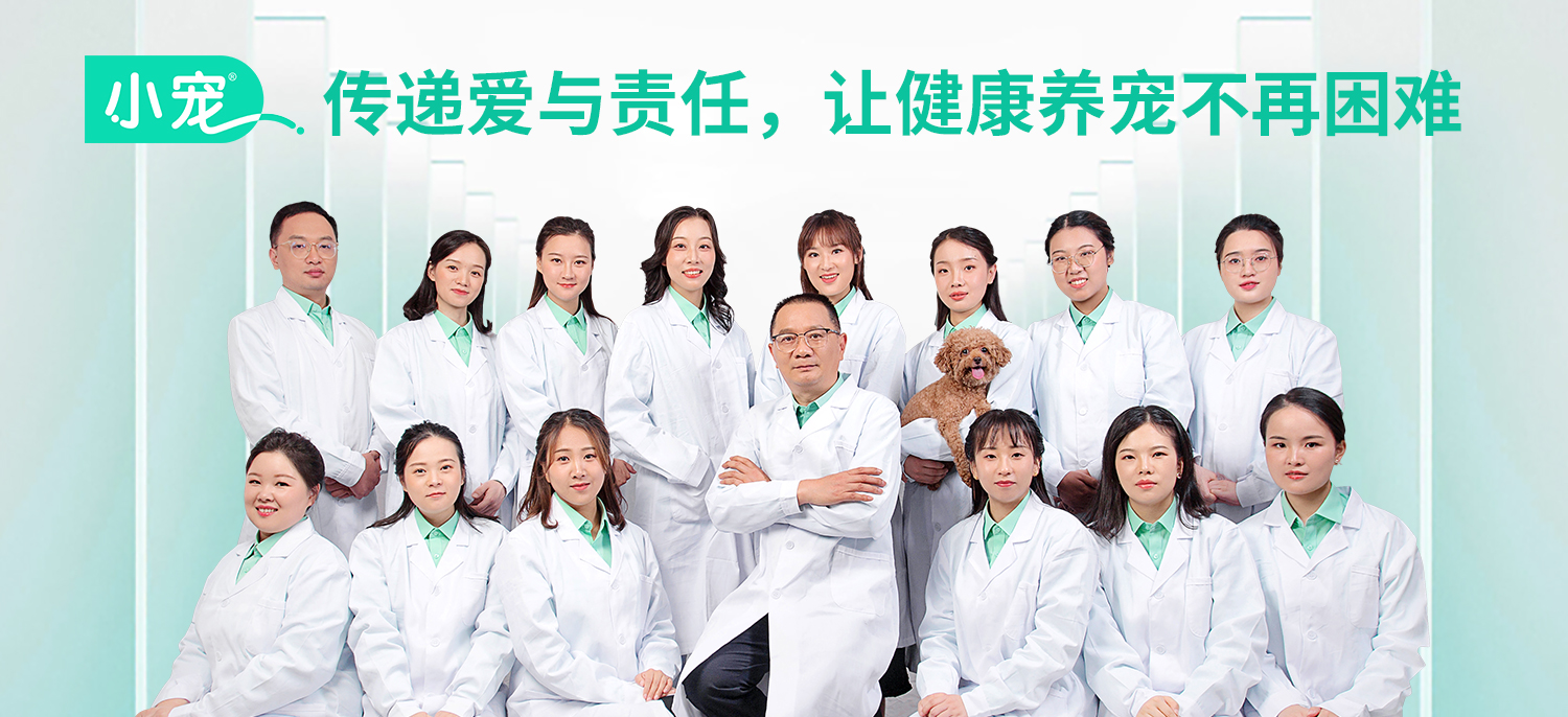 狗狗泪痕的原因,狗狗上火泪痕重什么原因