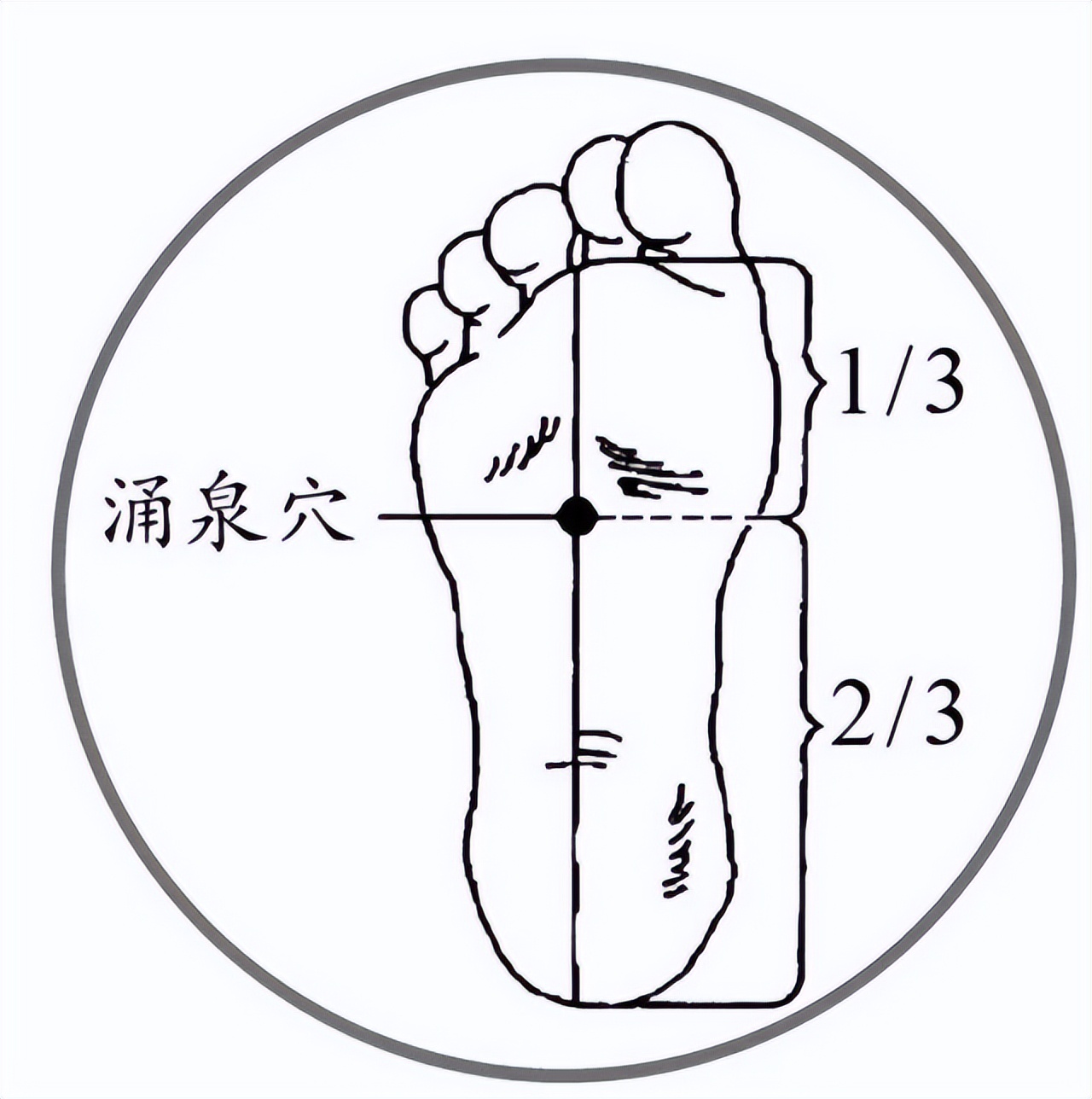 长期失眠睡不着教你一招专治失眠,晚上失眠中医原因是什么