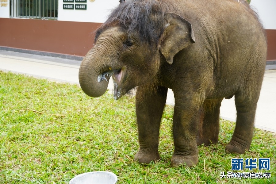 cop15第二次会议,cop15云南会场