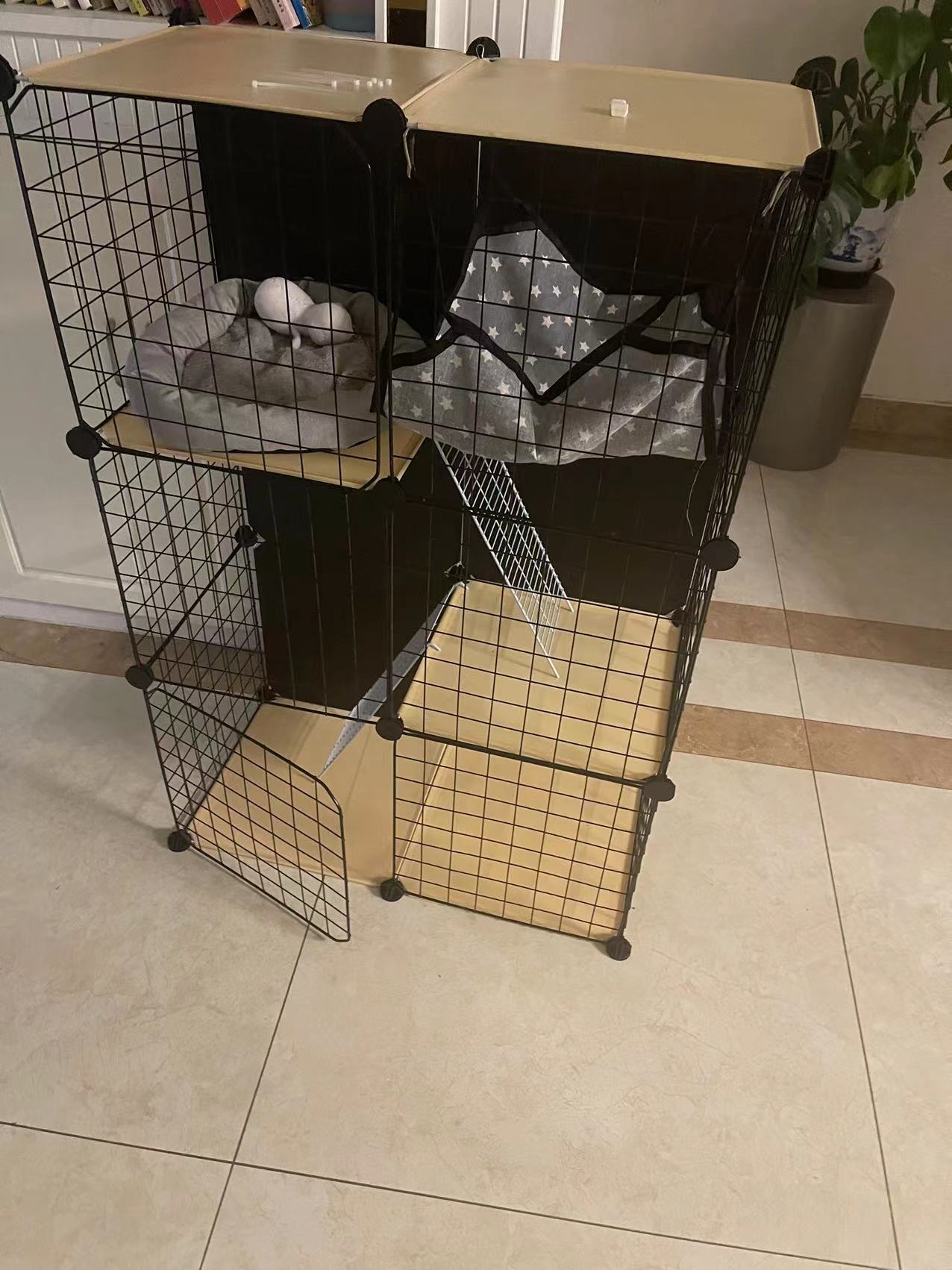 小猫被粘鼠板粘住的视频,被粘鼠板粘住的小猫