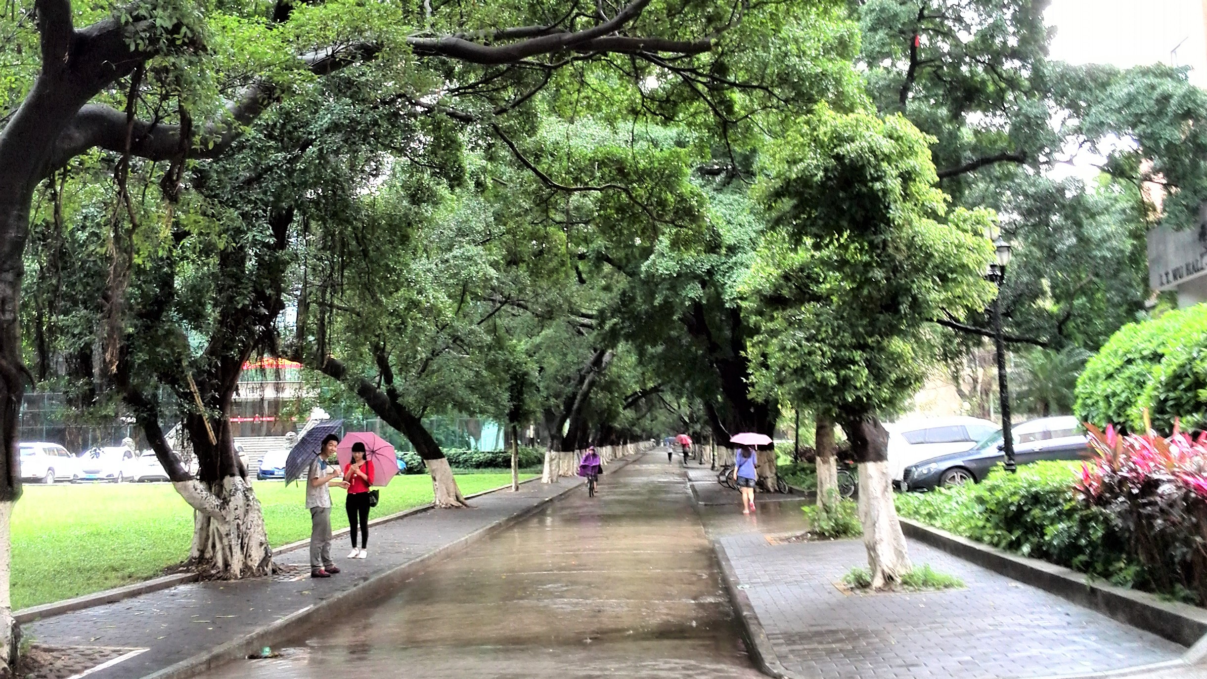 华南第一中山大学,中山大学广东人眼中的清华